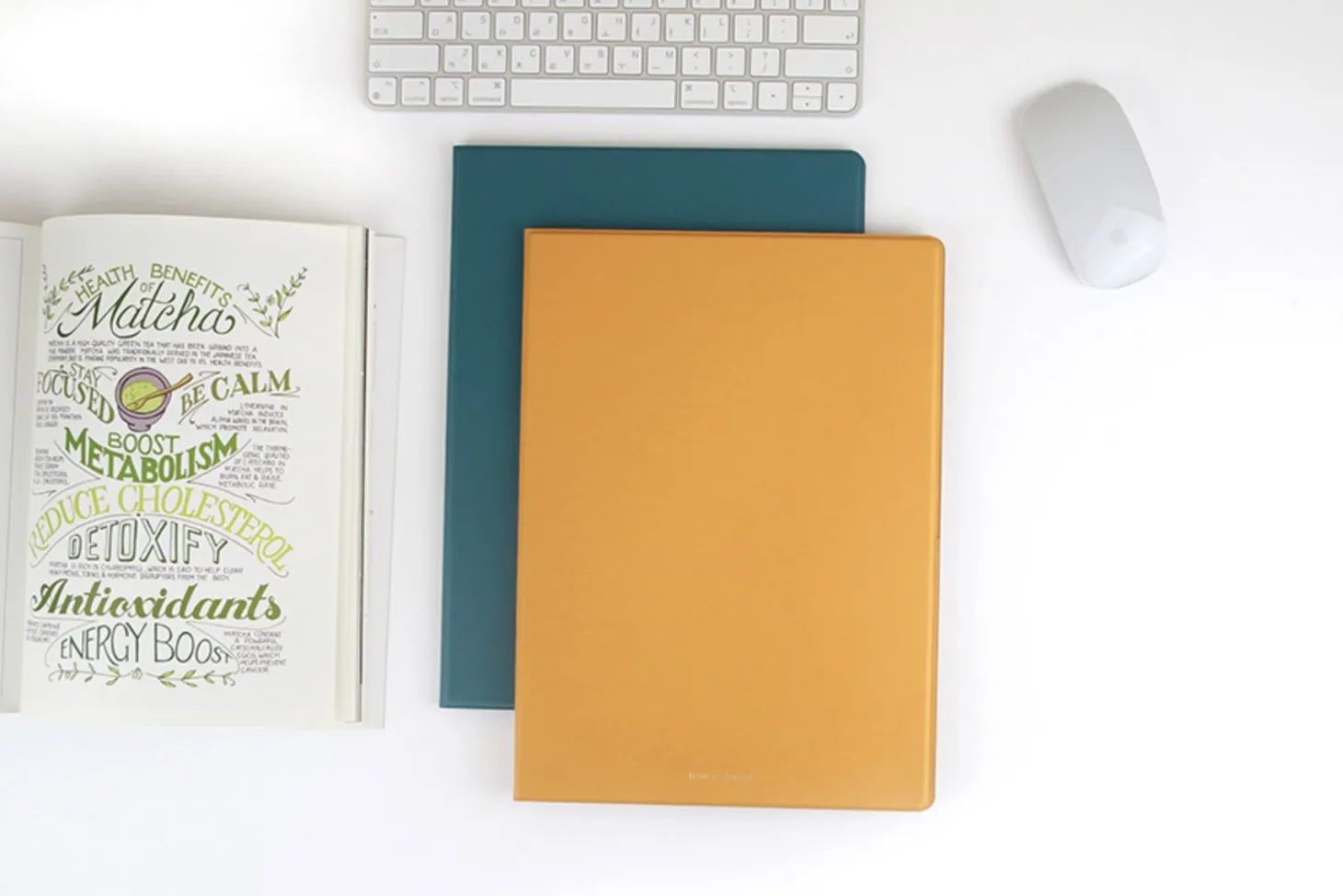 Multi Pocket Document Holder