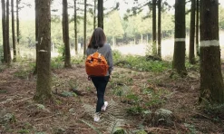Multipurpose Travel Bag