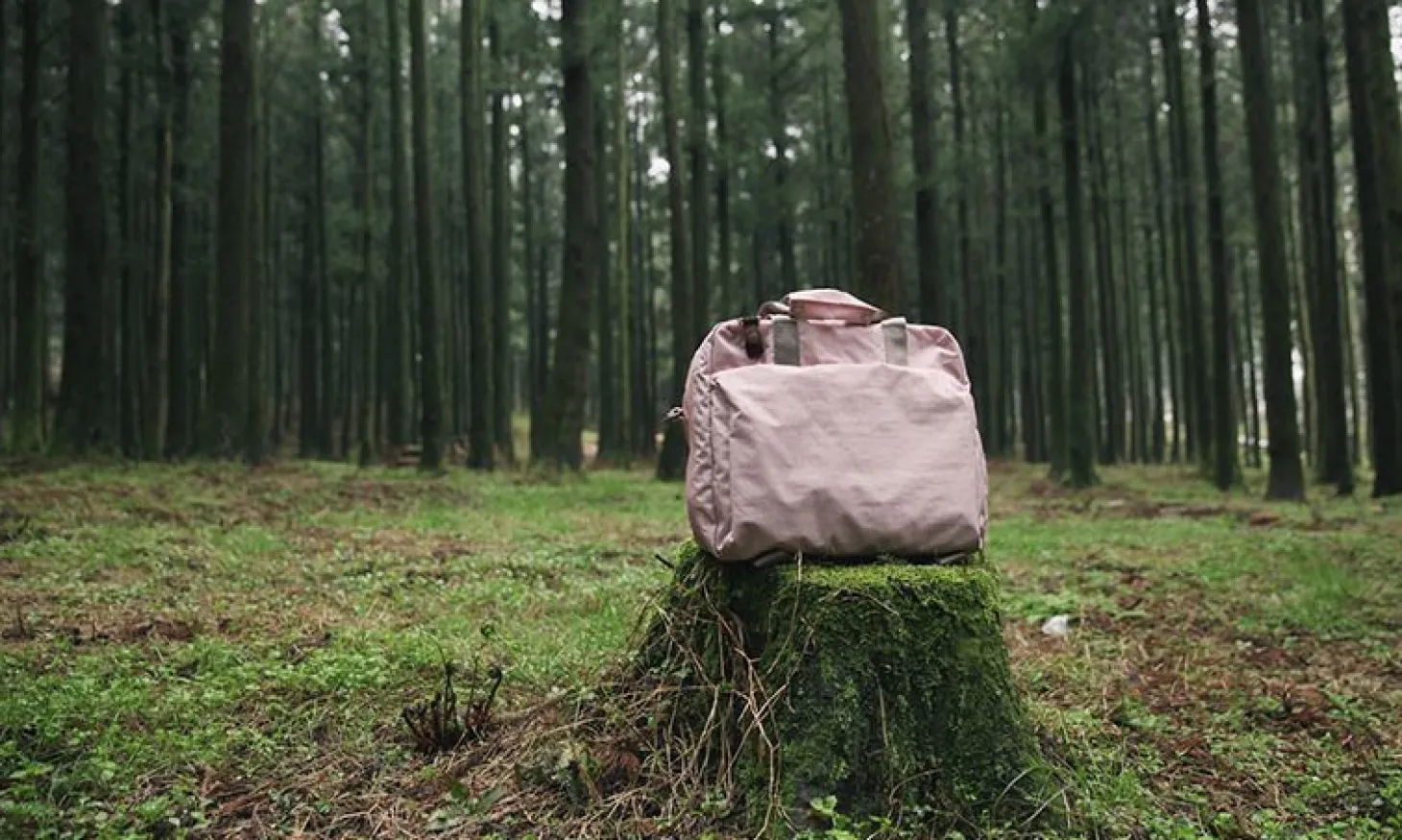 Multipurpose Travel Bag