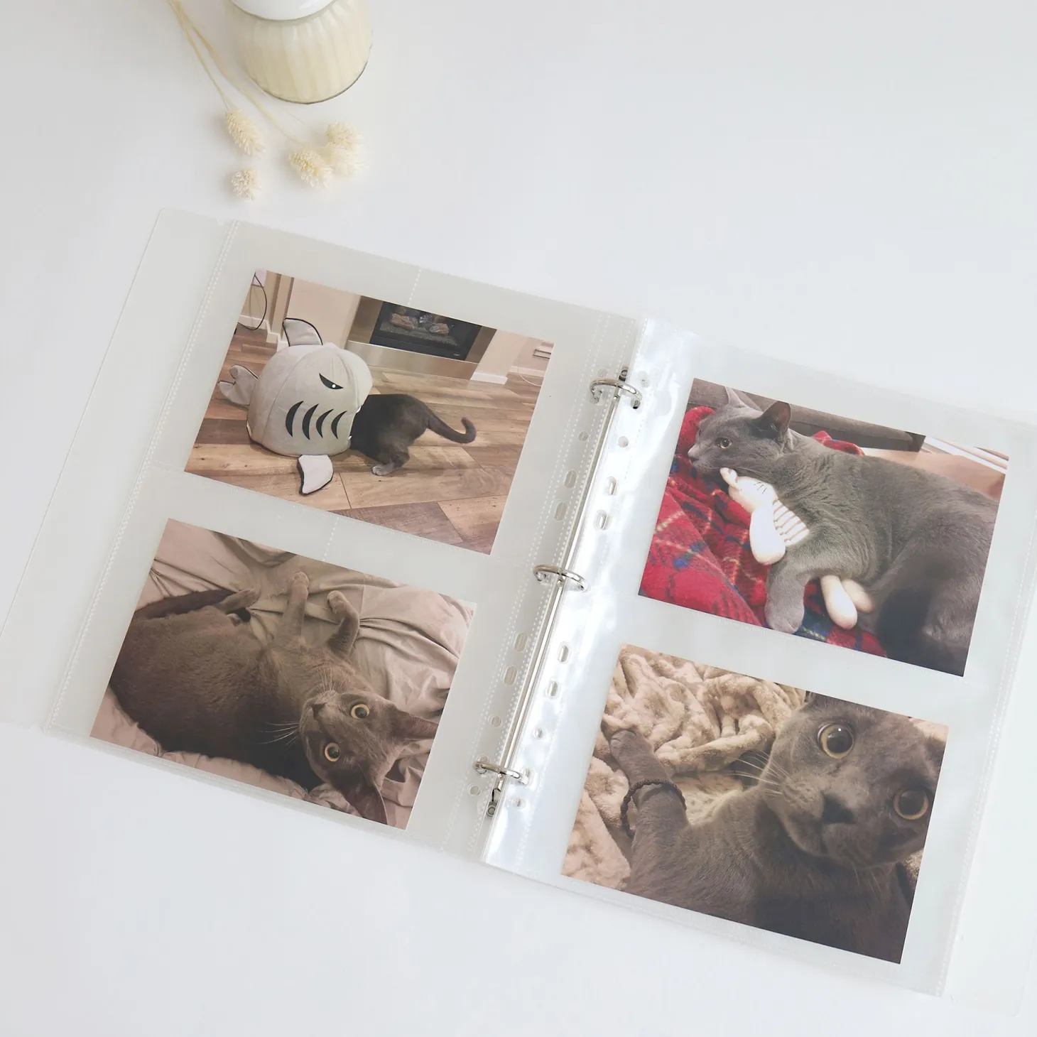 MYO 3 Ring A4 Photo Pocket Refill