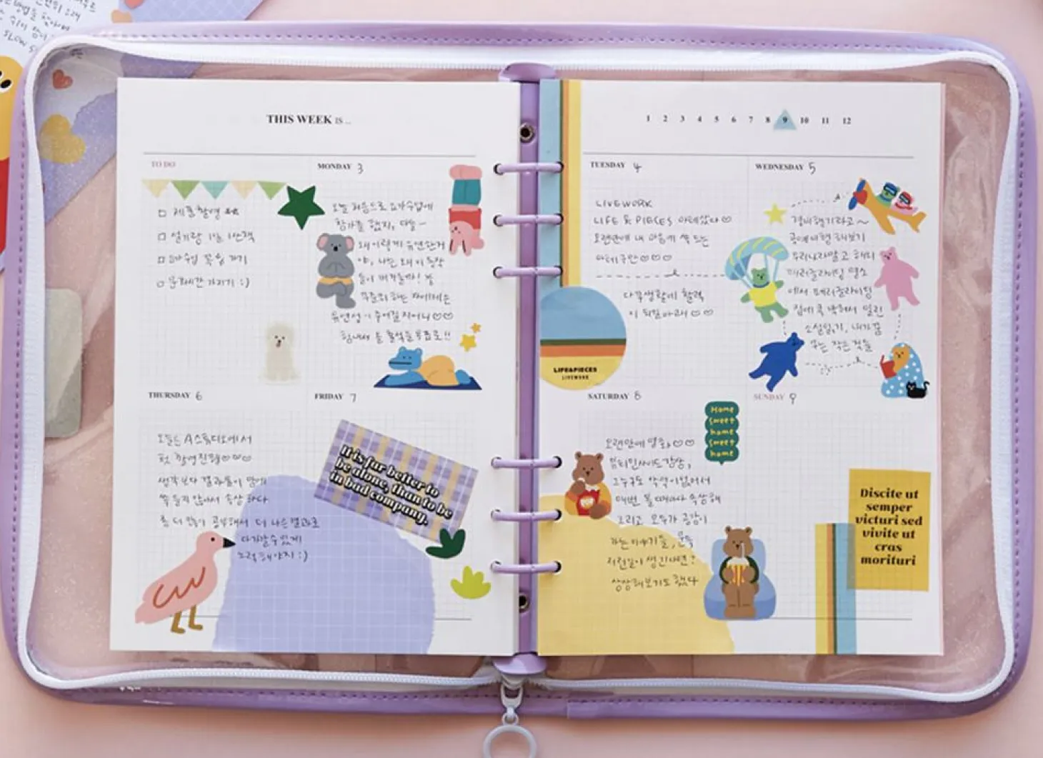 MYO 6 Ring A5 Planner Refill