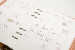 MYO Today 6 Ring A5 Planner Refill