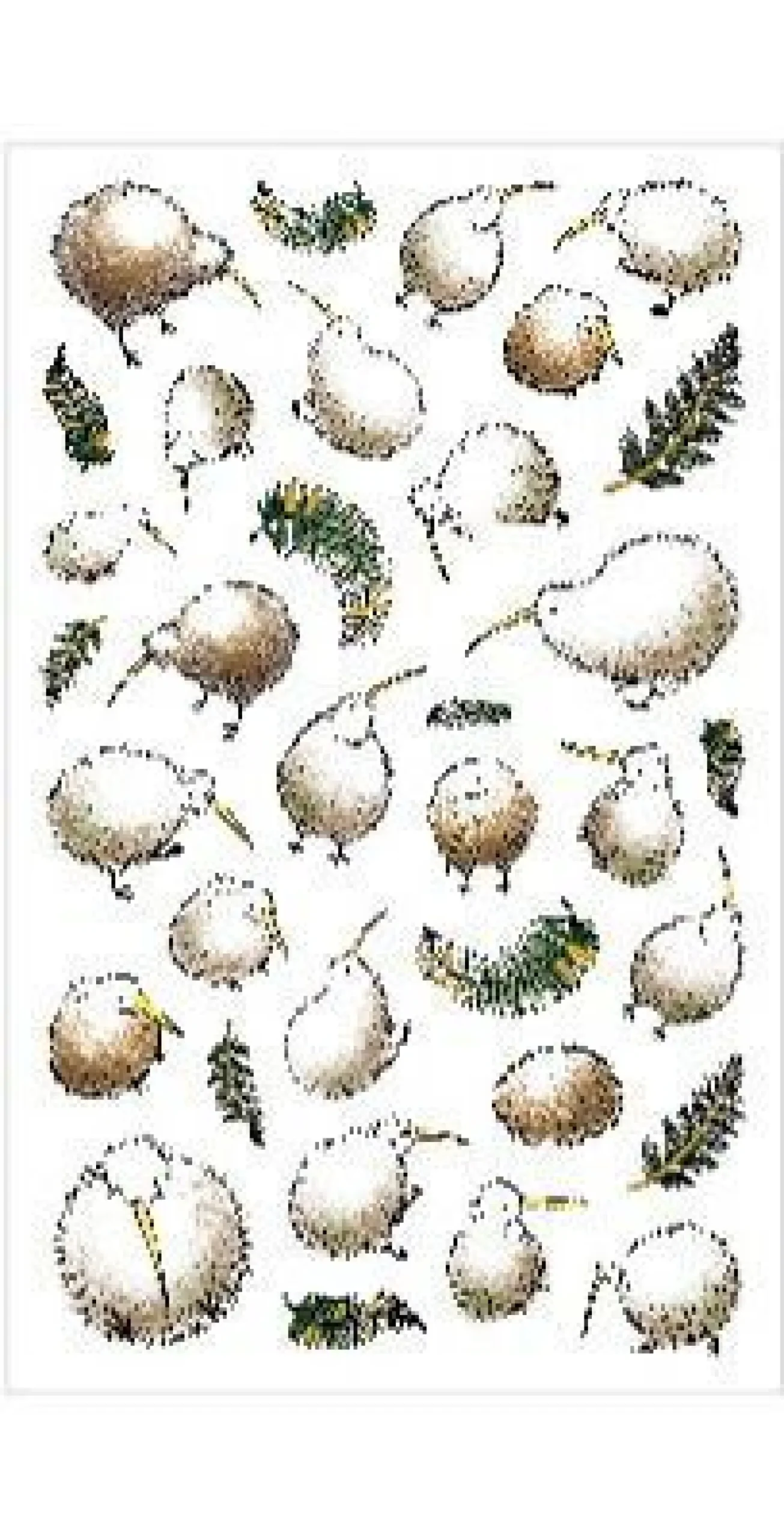 New Zealand/Australia Animal Deco Sticker
