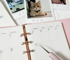 Office Number PET Deco Sticker