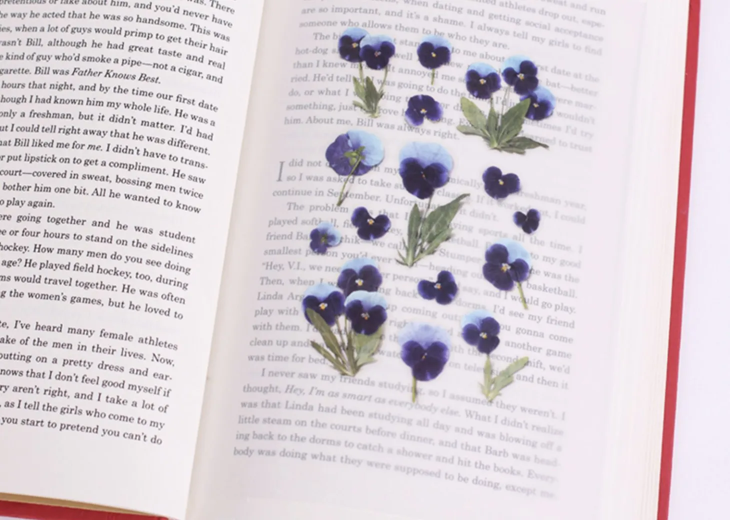 Pansy Pressed Flower Sticker