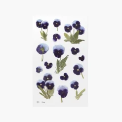Pansy Pressed Flower Sticker
