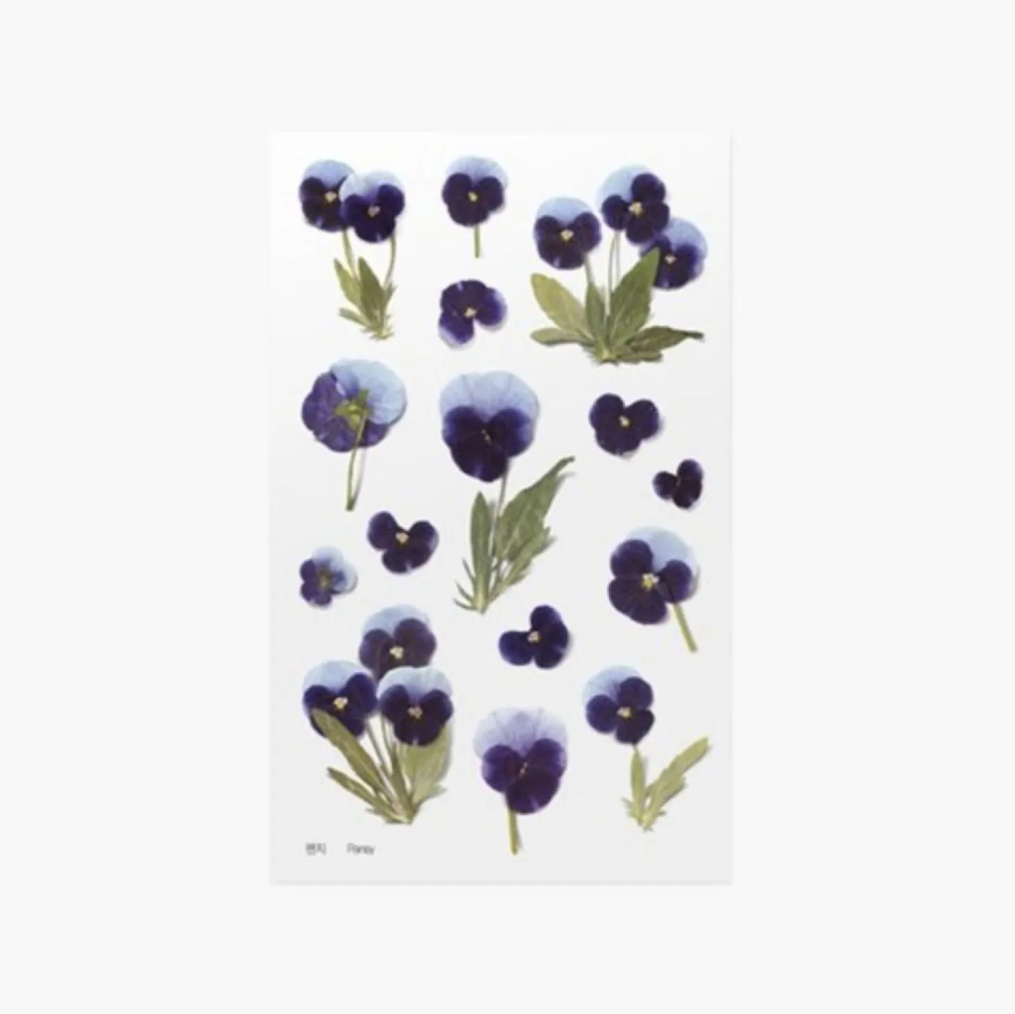 Pansy Pressed Flower Sticker