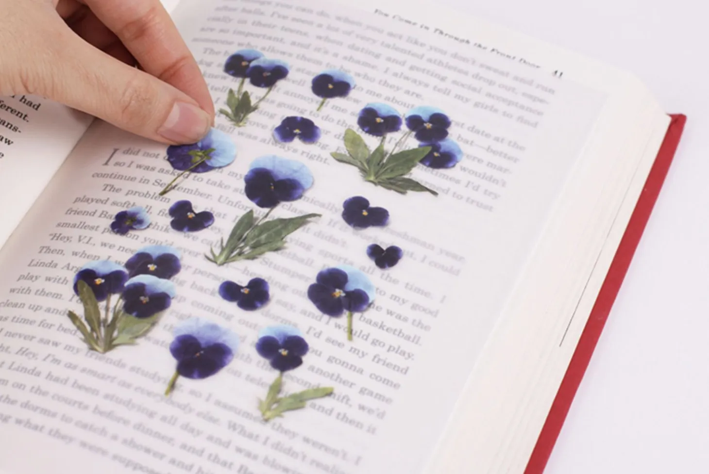 Pansy Pressed Flower Sticker