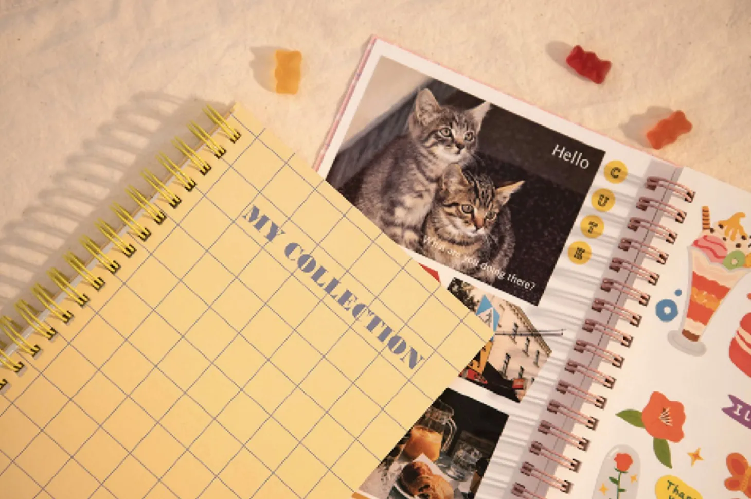 Pattern Check Double-sided Sticker Book