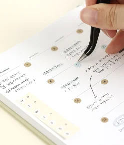 6pcs Calendar Month & Date Sticker Set