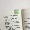 21pcs Clover Cereal Sticker Set
