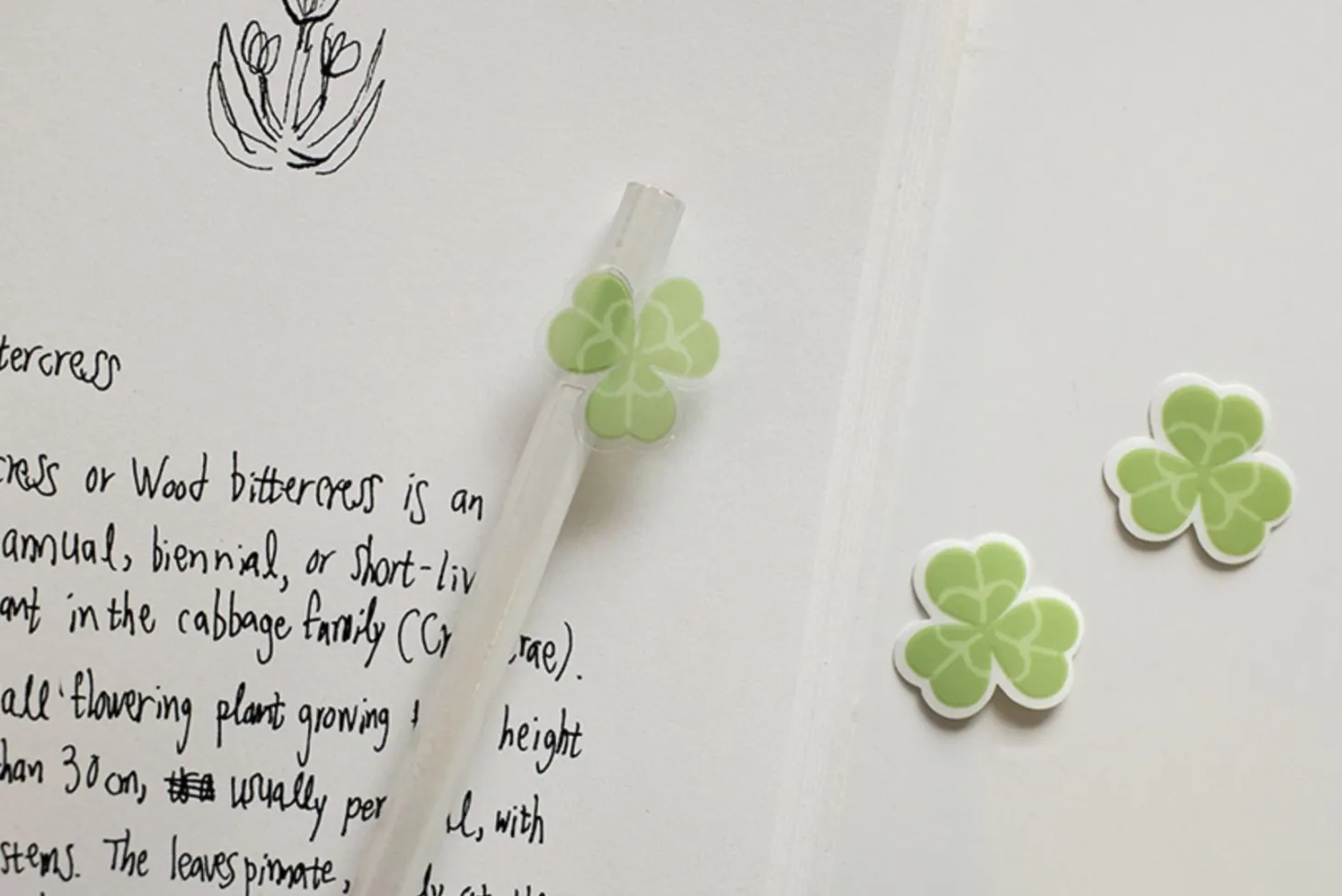 21pcs Clover Cereal Sticker Set