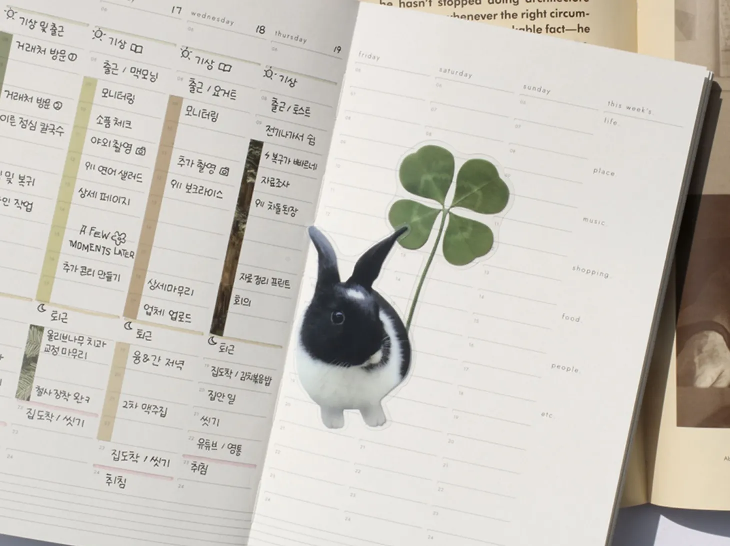 2pcs Large Translucent Bookmark Set