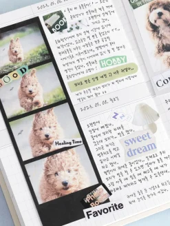 6pcs Magazine Collage Sticker Set