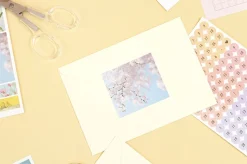 8pcs Paperian Removable Deco Sticker Set