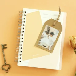 48pcs Sorolla Label Sticker Set