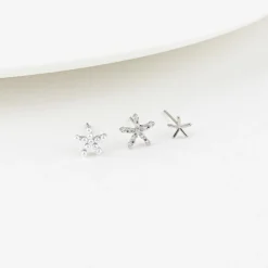 6pcs Starfish Earring Set