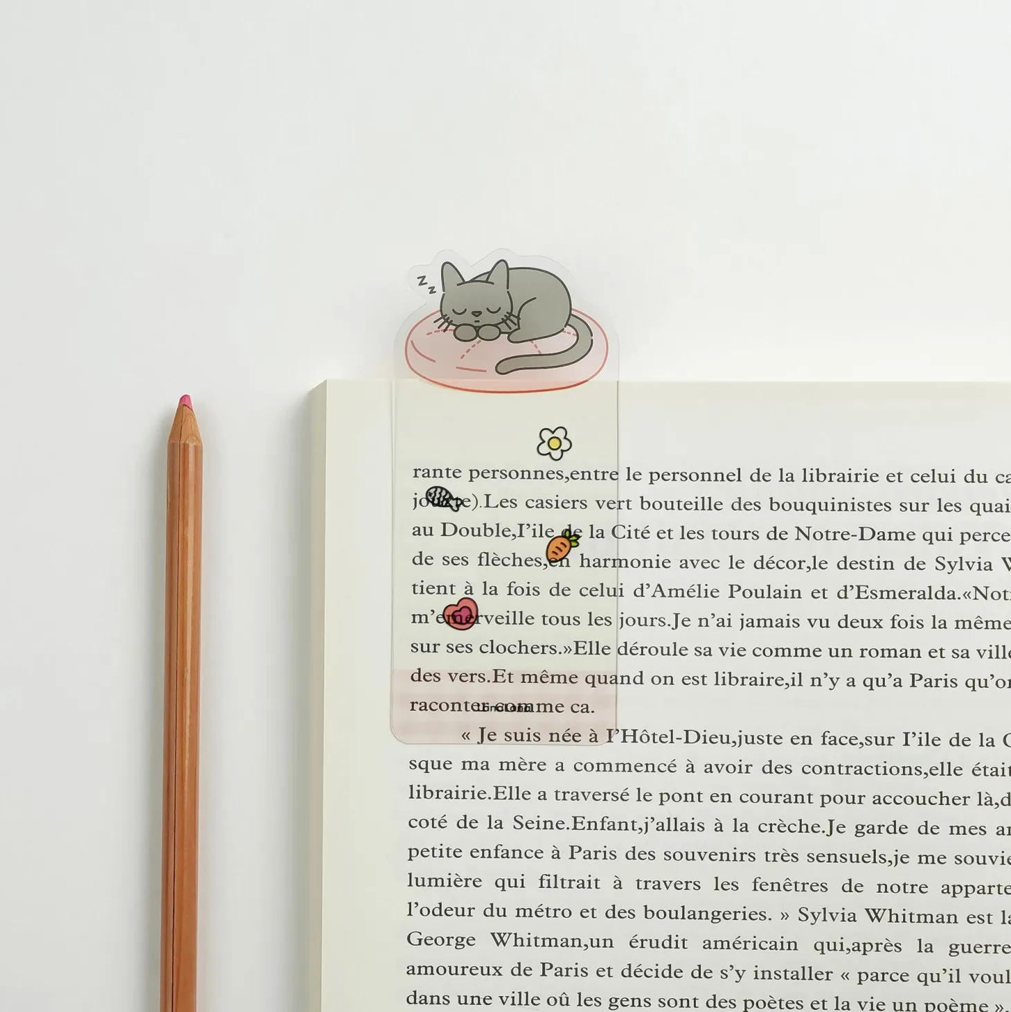 2pcs Themed Transparent Bookmark Set