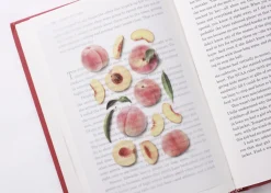 Peach Pressed Fruit Sticker