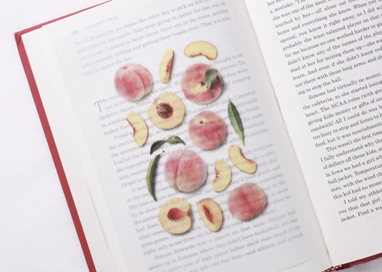 Peach Pressed Fruit Sticker