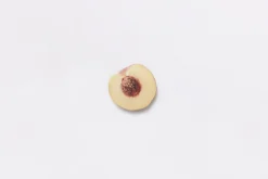 Peach Pressed Fruit Sticker