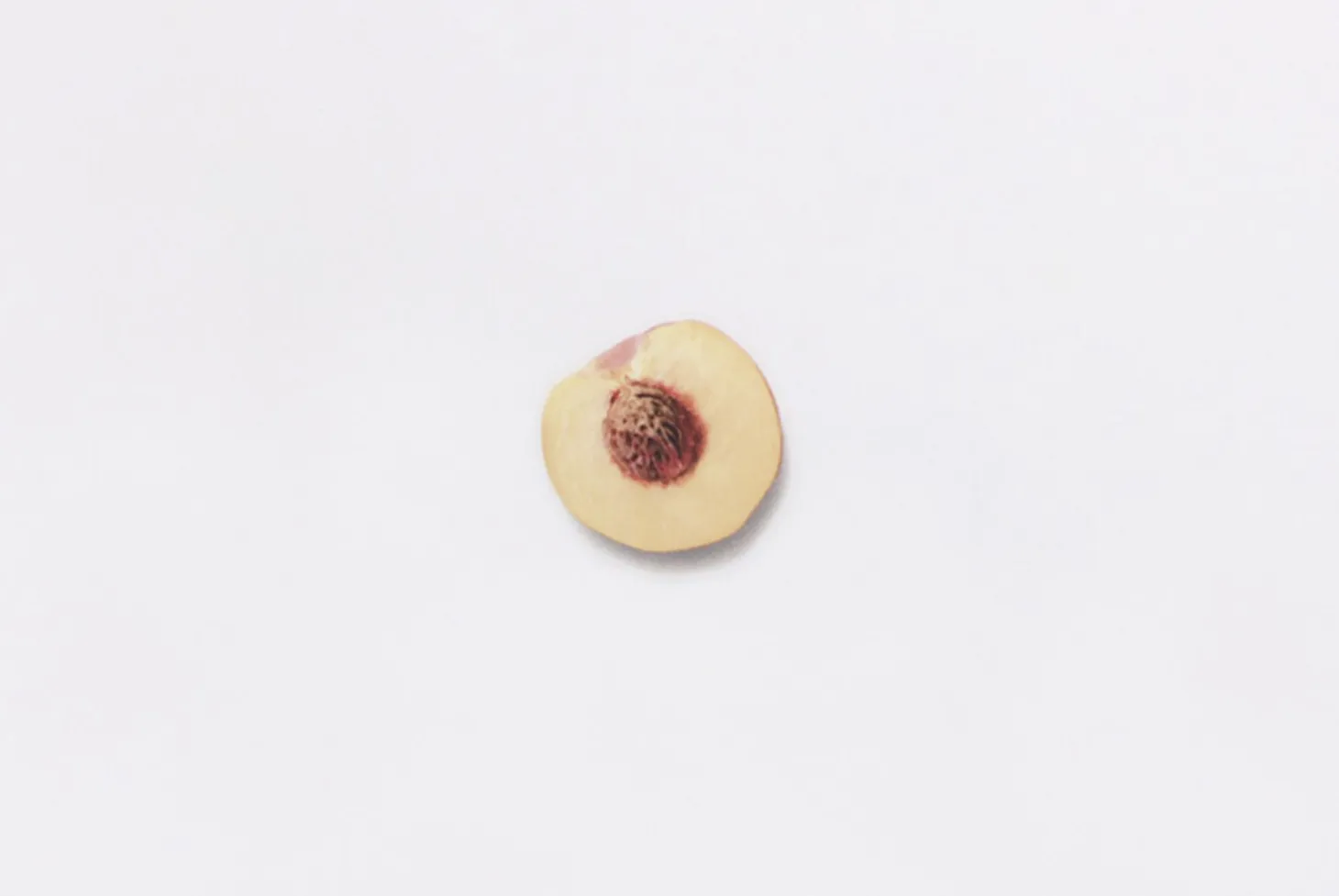 Peach Pressed Fruit Sticker