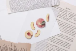Peach Pressed Fruit Sticker
