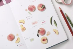 Peach Pressed Fruit Sticker