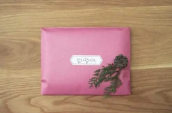 3 Piece Document Envelopes