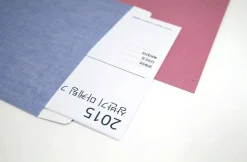 3 Piece Document Envelopes