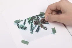 Pine Road Nature Sticker