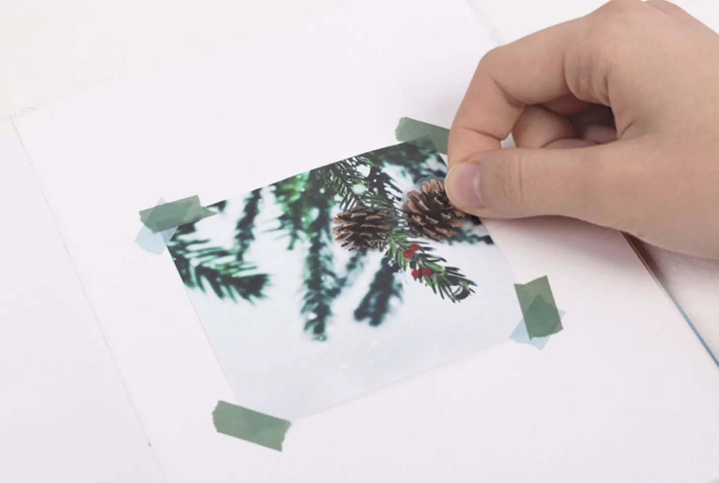 Pine Road Nature Sticker