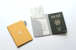 Plane Passport Case