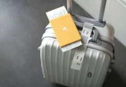 Plane Passport Case