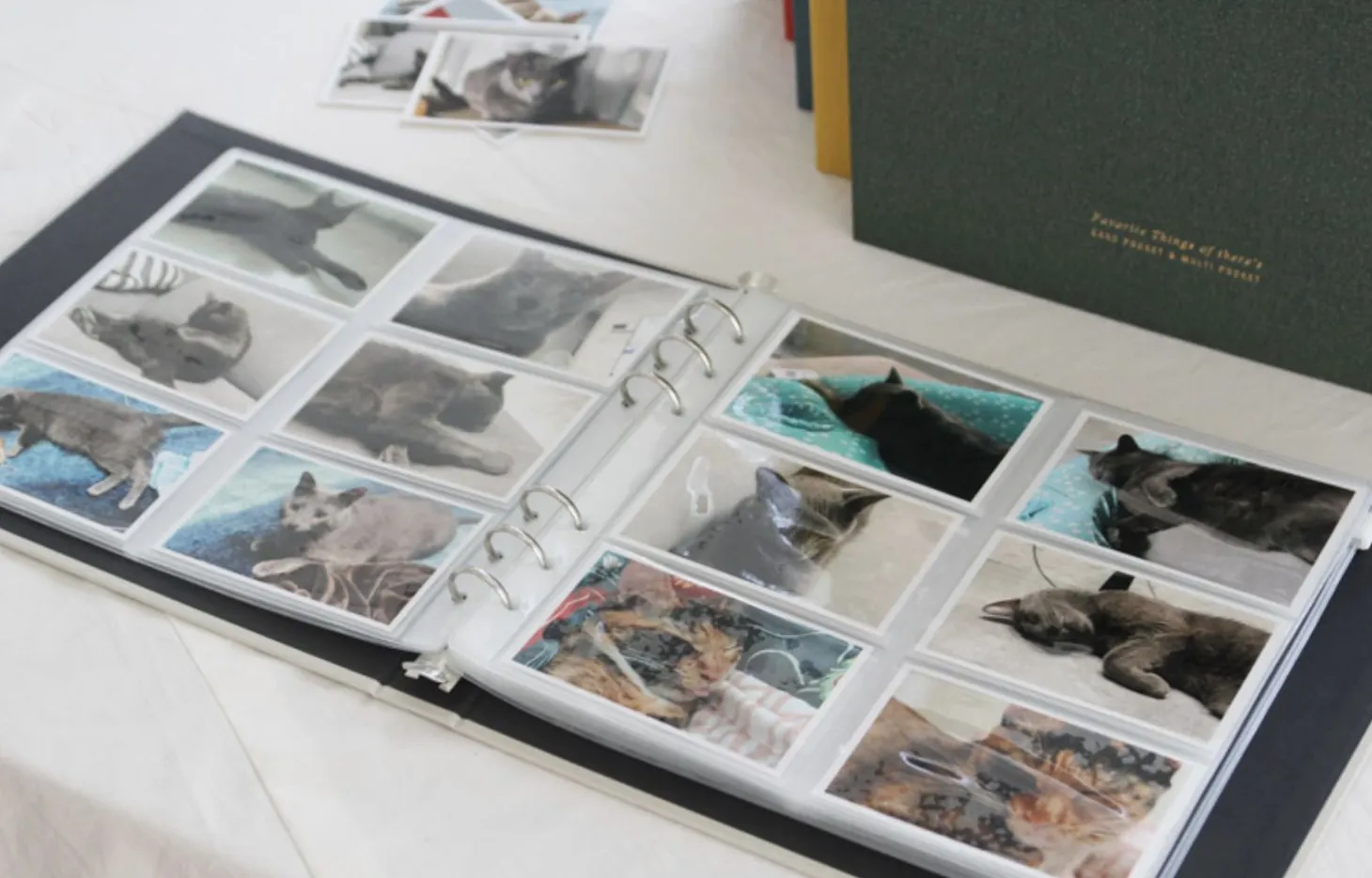 Precious Moments Instax Mini Binder Album Refill