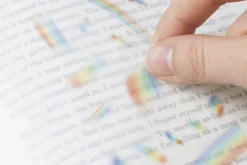 Rainbow Nature Sticker