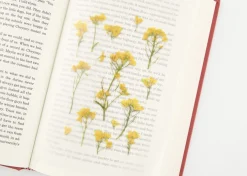 Rapeseed Pressed Flower Sticker