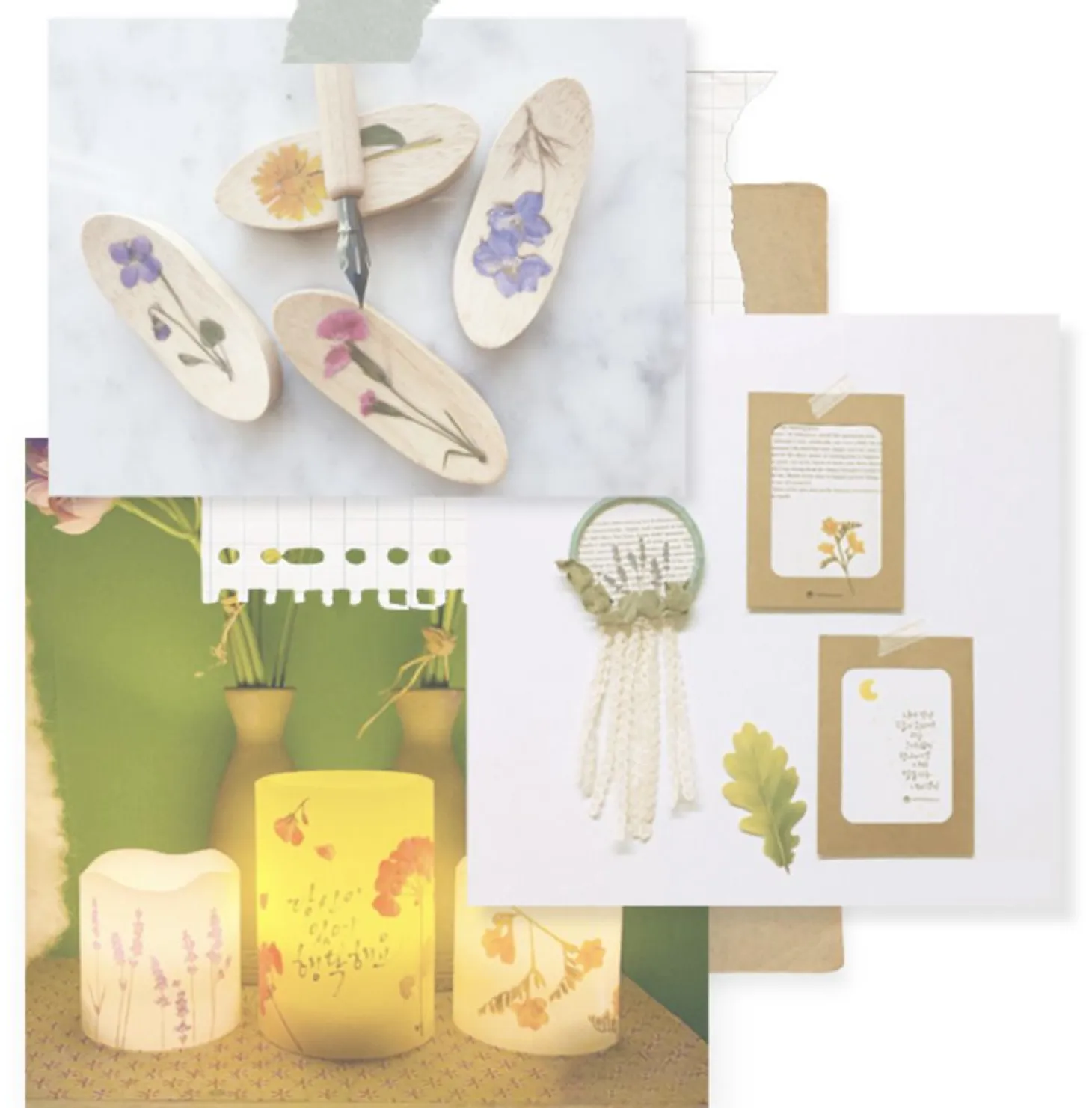 Rapeseed Pressed Flower Sticker