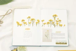 Rapeseed Pressed Flower Sticker