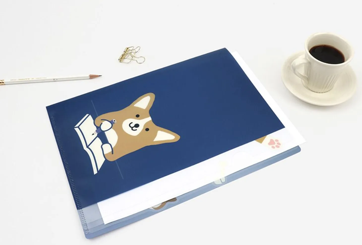 Reading Pet Index File Holder