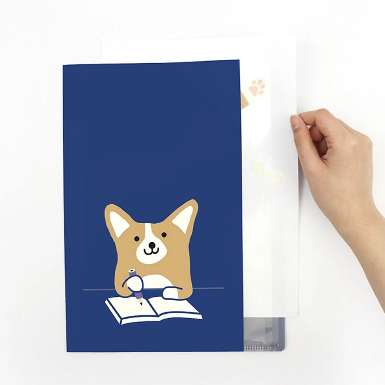 Reading Pet Index File Holder