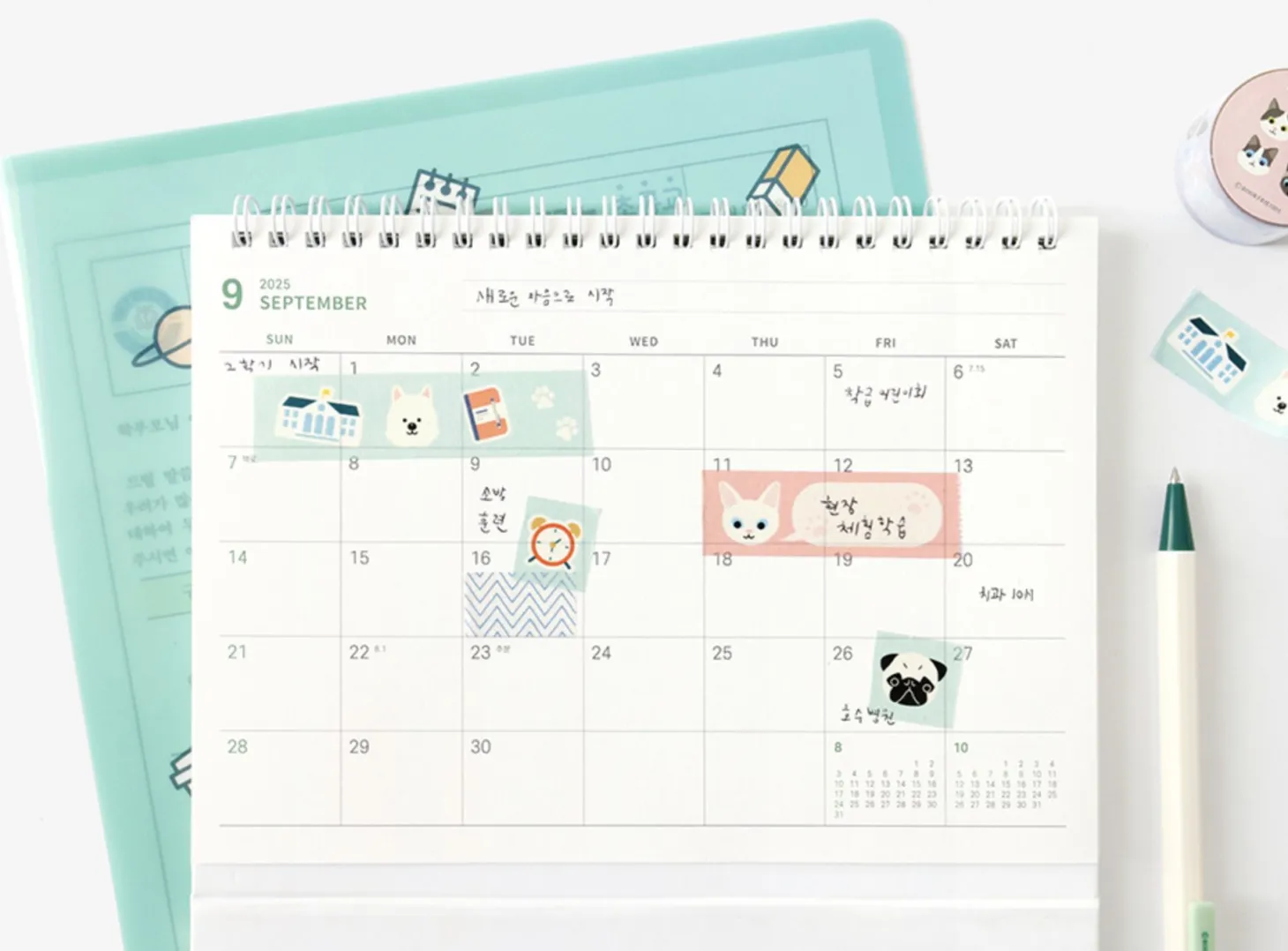 Reading Pet Masking Tape