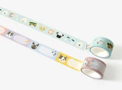 Reading Pet Masking Tape