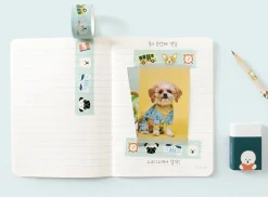 Reading Pet Masking Tape