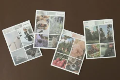 Repository Wide Photo Album
