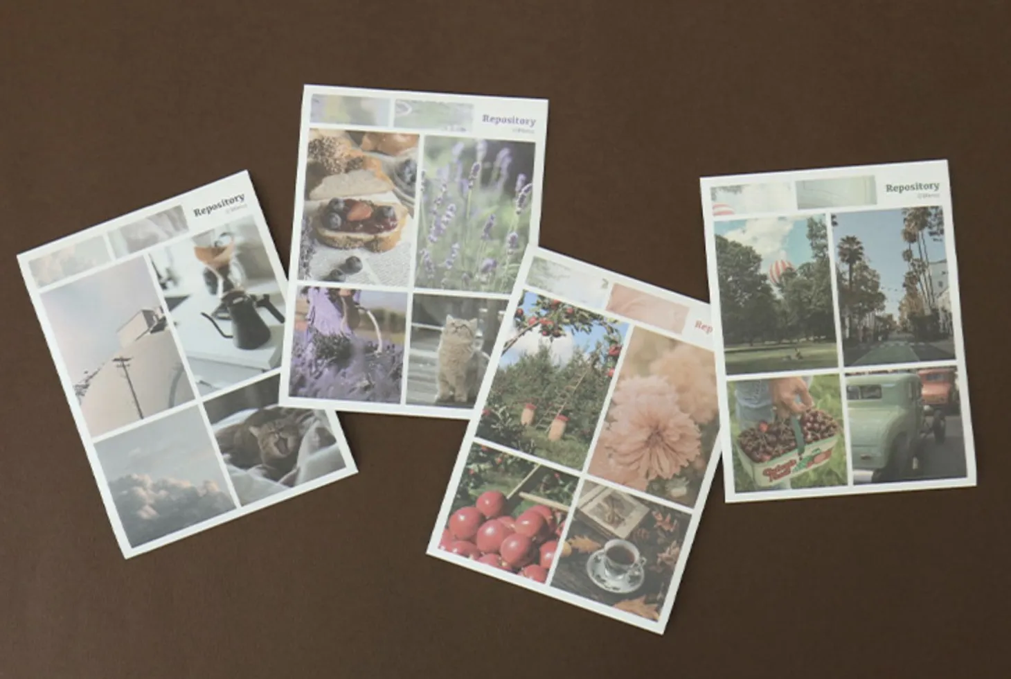 Repository Wide Photo Album