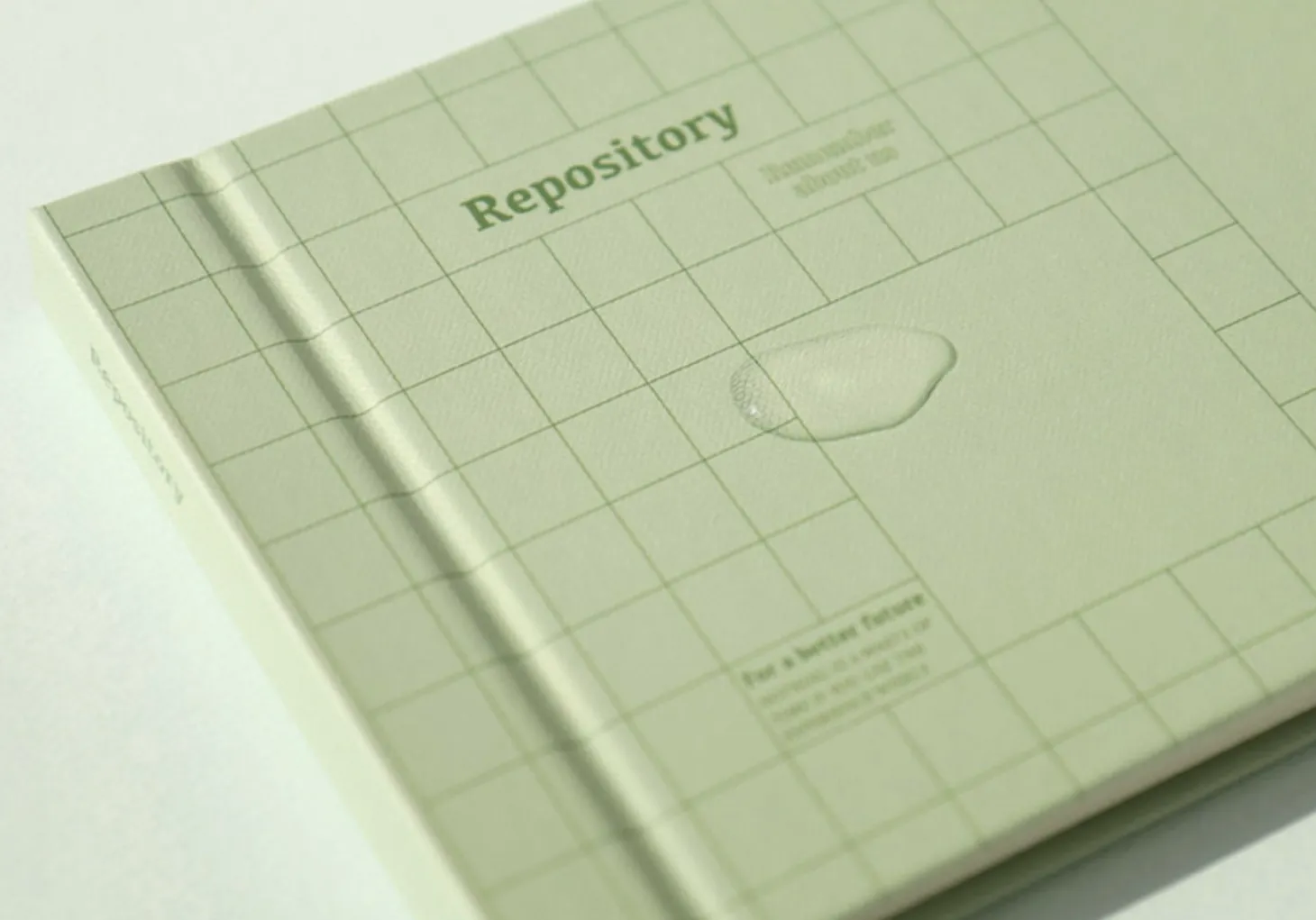 Repository Wide Photo Album