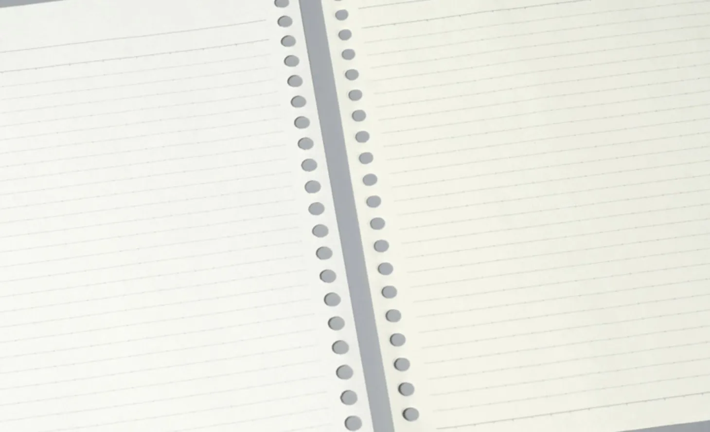 20 Ring A5 Lined Note Refill