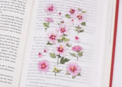 Rose of Sharon Pressed Flower Sticker