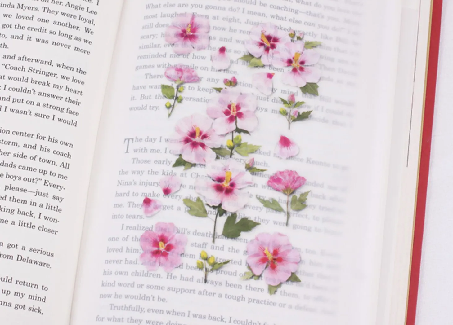 Rose of Sharon Pressed Flower Sticker